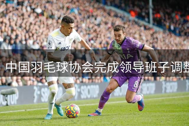 中国羽毛球协会完成领导班子调整 张新出任新一届主席